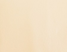 Queen Leather look Vinyl Futon Mattress Covers, Bed Covering Protector, Ivory