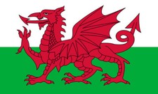 Welsh FLAG Iron on Screen