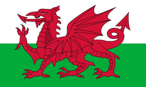 Welsh flag iron on screen - 4,