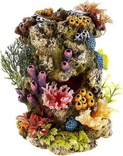 Classic PETBLIS Coral Stone