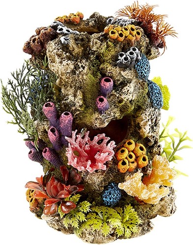 Classic petblis coral - petblis, stone