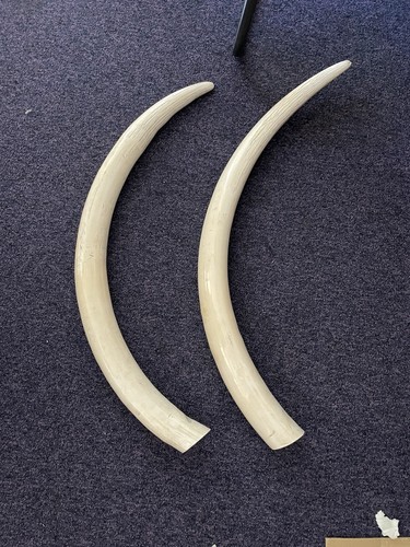 Pair life size vintage - of, faux