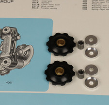 Vintage Campagnolo Rear