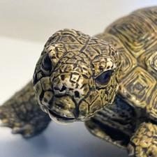 Aaa realistic tortoise - aaa,
