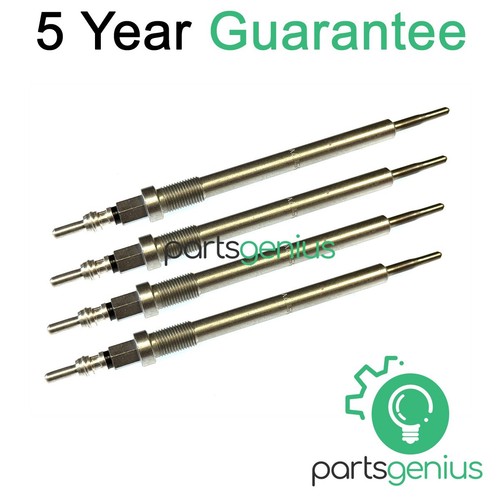 Glow plugs fits e - pg,