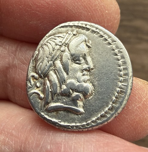 Roman republican procilius - republican., l.