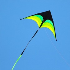 Large Delta Long Tail Kite For