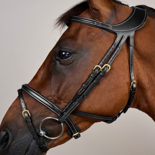 Dyon difference bridle size - difference, bridle,