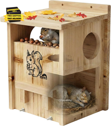 Squirrel house with - squirrel,