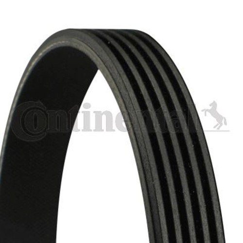Ribbed belt contitech - v-ribbed,