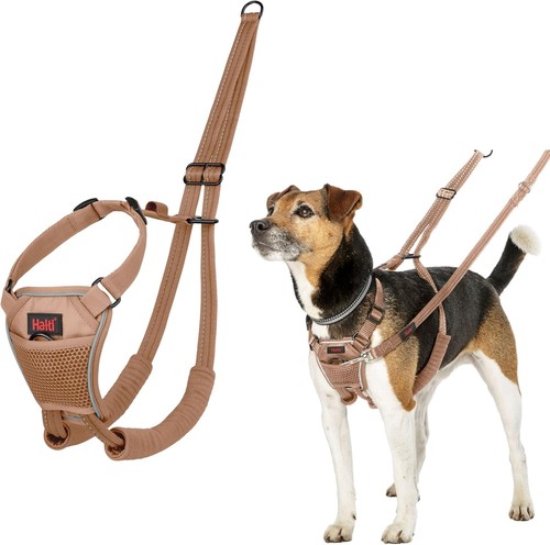 Halti pull harness - halti, no