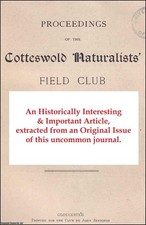 THE FOSSIL PLANTS OF THE FOREST OF DEAN COALFIELD. AN ORIGINAL ARTICLE FROM THE