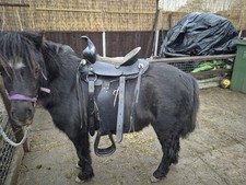 Premium Western Horse Saddle