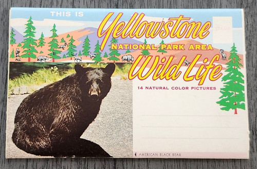 Yellowstone national park - yellowstone,