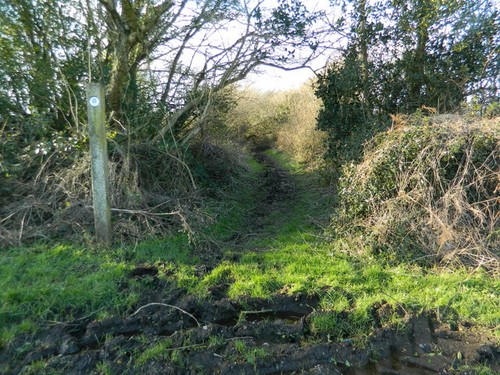 Photo 6x4 footpath near - photo,
