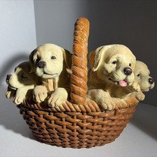 Golden Labrador Retriever
