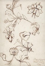 H. B. Garling Pen & Ink