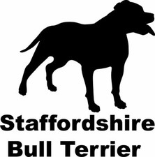 Staffordshire Bull Terrier
