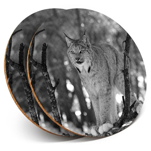 Coasters bobcat wild - x, bw