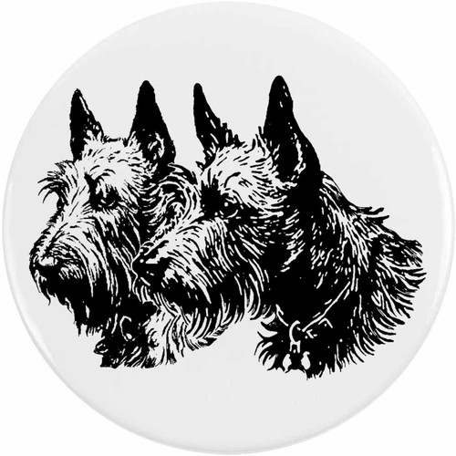 Scottish terrier couple - terrier, couple'