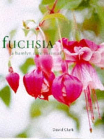 Fuchsia hamlyn care - fuchsia,