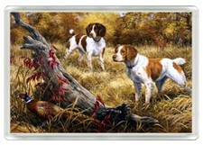 BRITTANY SPANIEL DOGS &