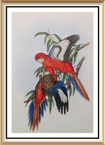 Original c1947 lithograph john - original,