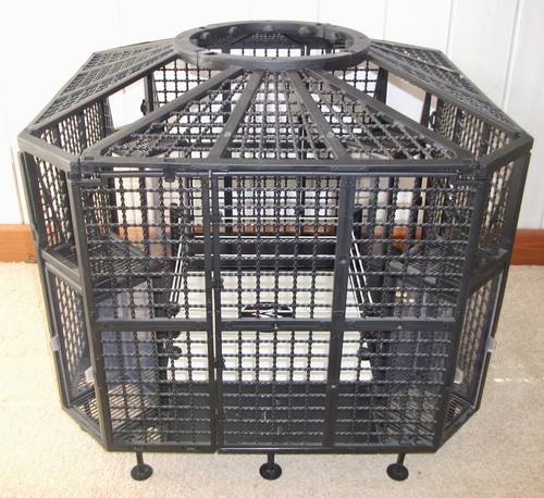 Wwe elimination chamber - wwe,