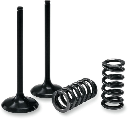Prox valve spring - prox, kit