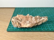 Selenite on Gypsum Mineral