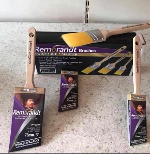 Arroworthy rembrandt angled - rembrandt,