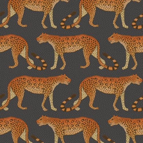 Cole son wallpaper - &,