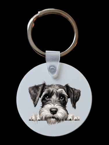 Peeking peeping schnauzer dog - peeping,