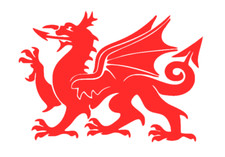 WELSH DRAGON DECAL STICKER CAR VAN MOTORHOME