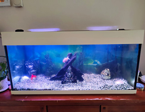 Aqua one 170l - 170l, glass