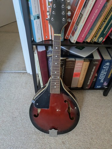 Left handed mandolin type - handed,