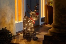 Christmas Reindeer Sparkly