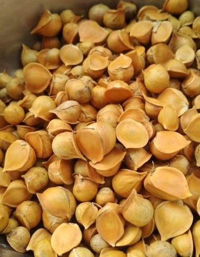 Genuine elephant garlic - 05,