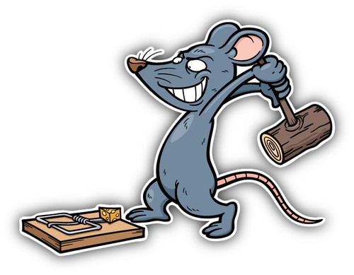 Funny rat with cheese - funny, car