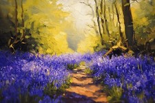 Bluebell Woodland Forest