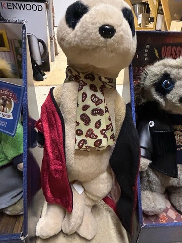 Compare the meerkat - meerkat, –