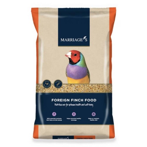 Marriages foreign finch - marriages, food