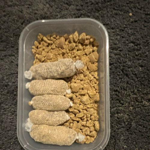 Fishing pva mesh bags - , with