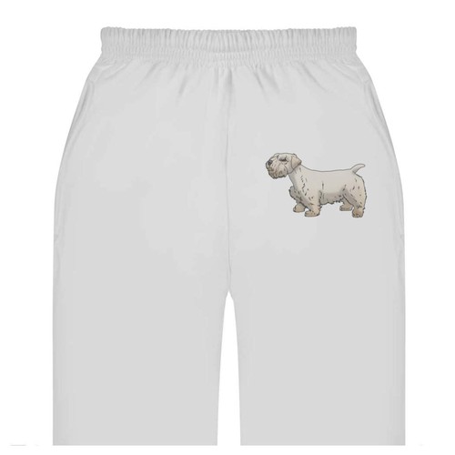Sealyham terrier adult - terrier',