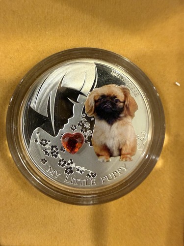 Little puppy pekingese 1 - pekingese,