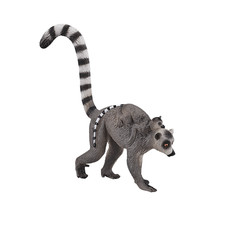 RINGTAIL LEMUR & BABY Wild zoo
