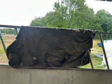 6'6 falpro heavyweight turnout