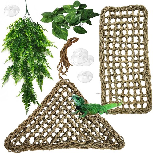 Bearded dragon hammock - dragon,
