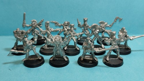 Harlequins rogue trader - -,