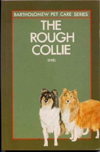 Rough collie - rough,